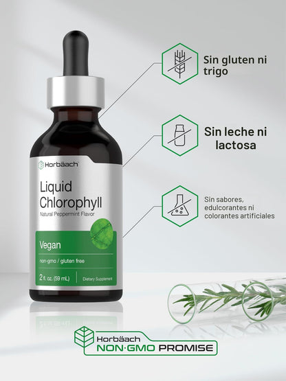 CLOROFILA LIQUIDA