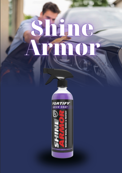 SHINE ARMOR -RENOVADOR AUTO